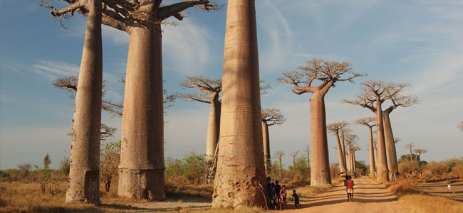 Madagascar